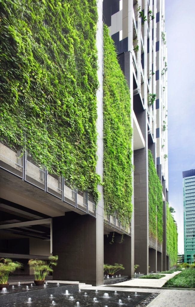 proiecte verzi 3 651x1024 - Clădirile viitorului – mai aproape de natură