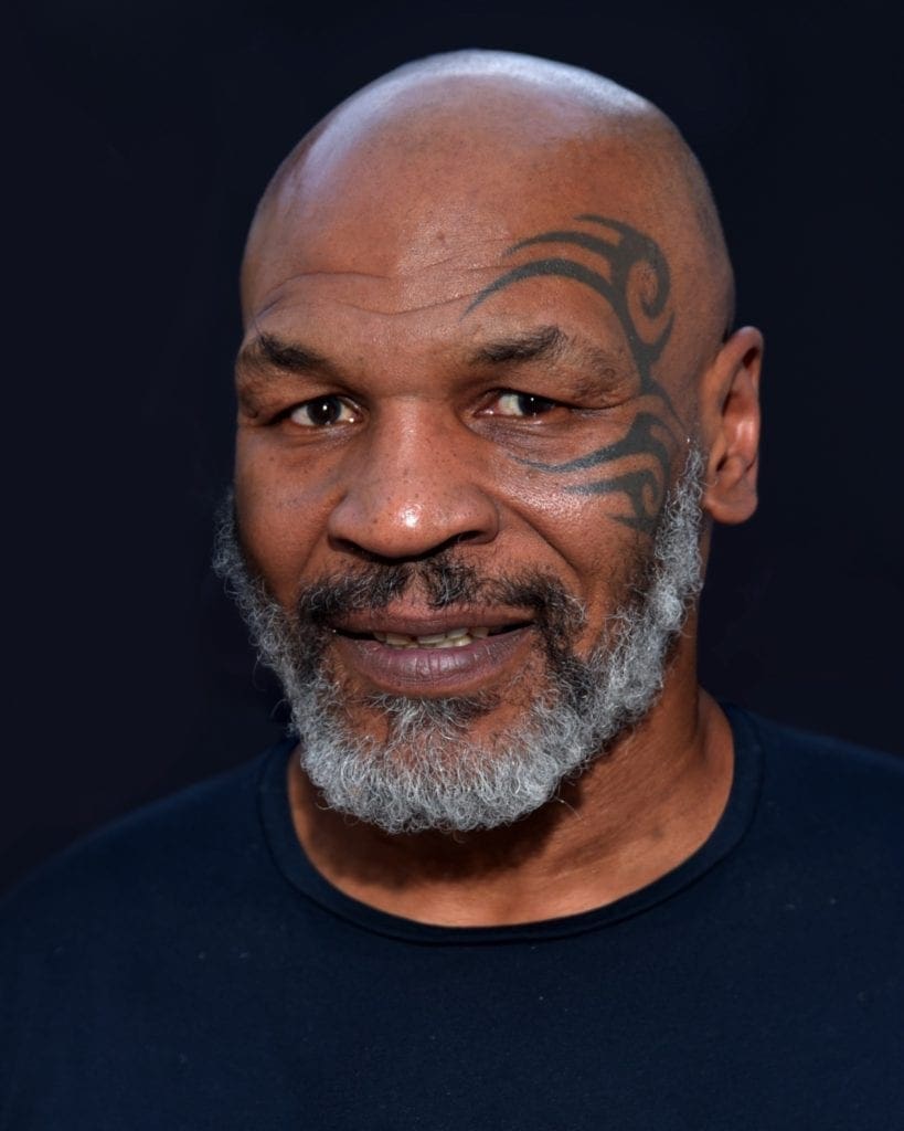 Mike Tyson 2019 by Glenn Francis copy 819x1024 - 7 reşedinţe ale celebrităților, abandonate sau scoase la vânzare