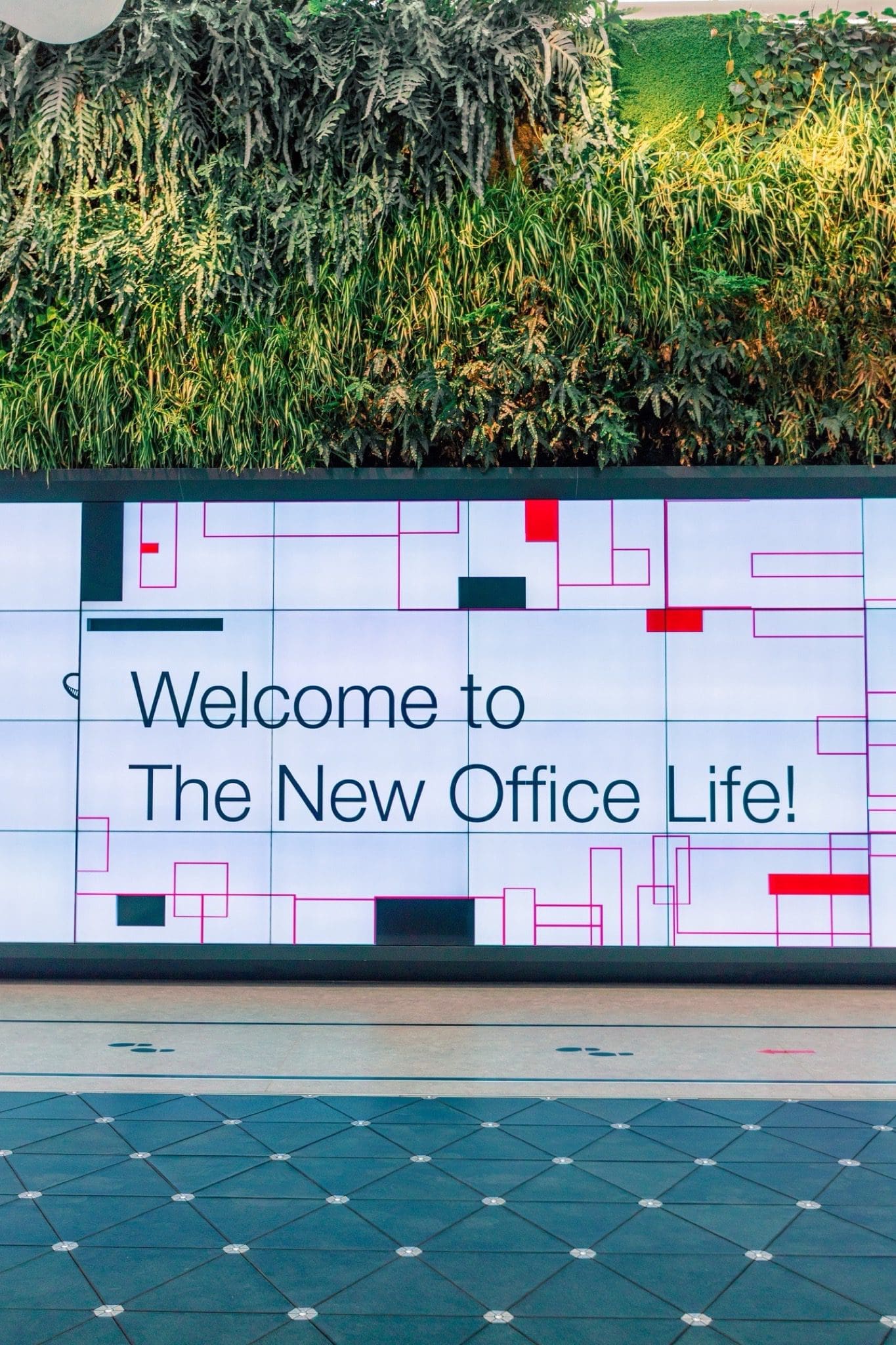 New Office Life. copy - Flexibilitatea pe axa dezvoltatori - chiriași, crucială pentru revenirea angajaților în clădirile de birouri