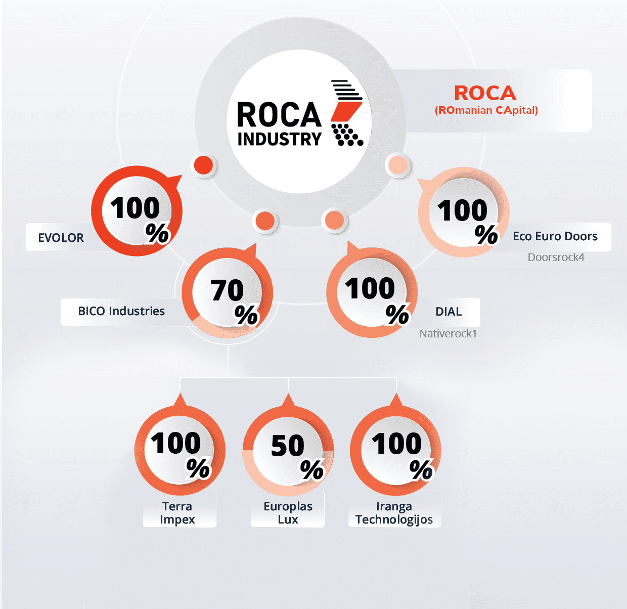ROCA Industry schema companii - ROCA Industry lansează primul raport de sustenabilitate